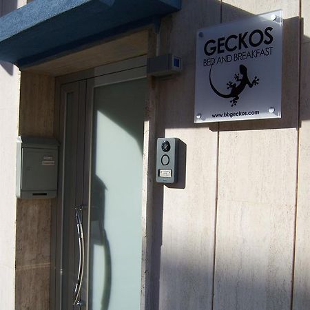 Bed And Breakfast Geckos ブリンディジ エクステリア 写真
